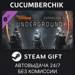 Tom Clancy's The Division - Underground STEAM GIFT AUTO RU+МИР