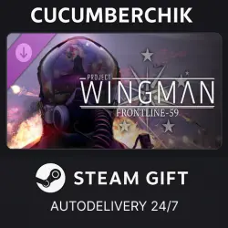 Project Wingman - Frontline 59 Campaign STEAM GIFT AUTO RU+World
