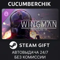 Project Wingman - Frontline 59 Campaign STEAM GIFT AUTO RU+МИР