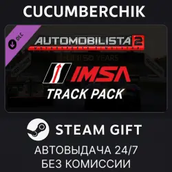 Automobilista 2 - IMSA Track Pack STEAM GIFT AUTO RU+МИР