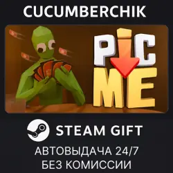 Pic-Me! STEAM GIFT AUTO RU+МИР
