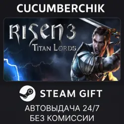Risen 3 - Titan Lords STEAM GIFT AUTO RU+МИР