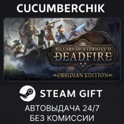 Pillars of Eternity II: Deadfire - Obsidian Edition STEAM GIFT AUTO RU+МИР
