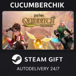 Harry Potter: Quidditch Champions STEAM GIFT AUTO RU+World