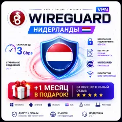 WireGuard VPN Netherlands Unlimited traffic