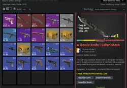 Аккаунт: CS2 + СКИНЫ НОЖ + ИНВЕНТАРЬ 540$ FACEIT TB, лот №251737