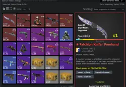 CS2 + SKINS KNIFE WITH INVENTORY $720 FACEIT TB