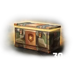 30 контейнеров «Арсенал»