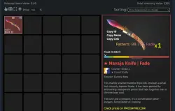 CS2 + SKINS KNIFE INVENTORY FROM $180 FACEIT TB