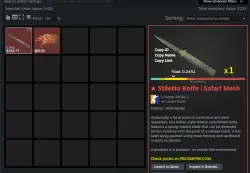 CS2 + SKINS KNIFE INVENTORY FROM $230 FACEIT TB