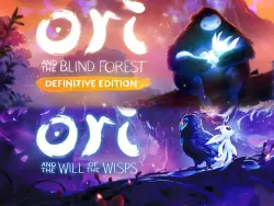 Ori Will of the wisp + Blind Forest | Nintendo Switch 1/2