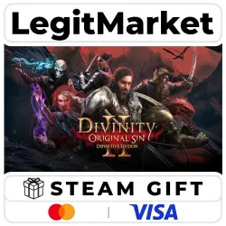 Divinity: Original Sin 2 - Definitive Edition / Steam AUTO / RU + MIR