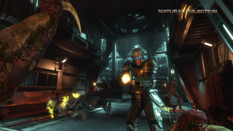 Buying Natural Selection 2 – image 11