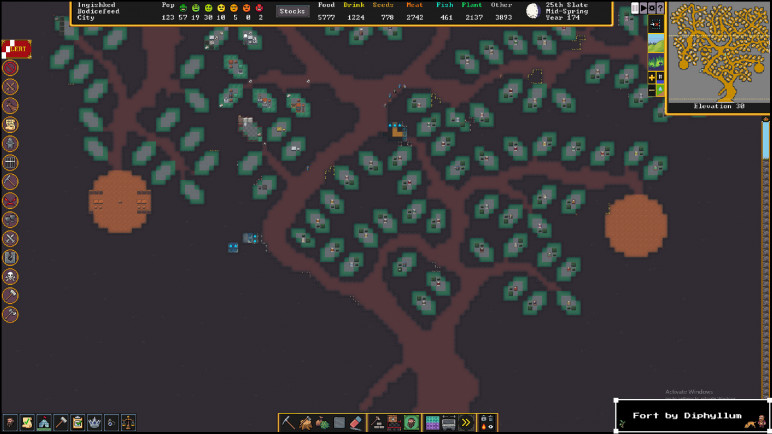 Buy Dwarf Fortress for Steam – image 5