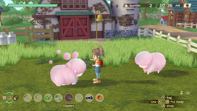 Story of Seasons a Wonderful Life – image 6
