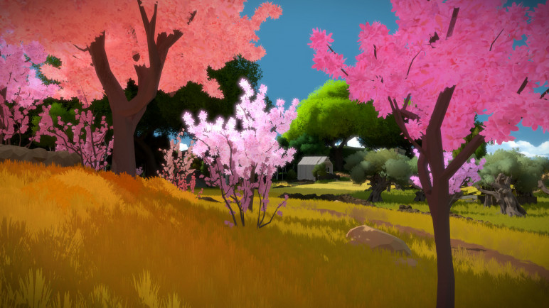 The key to the witness – image 5