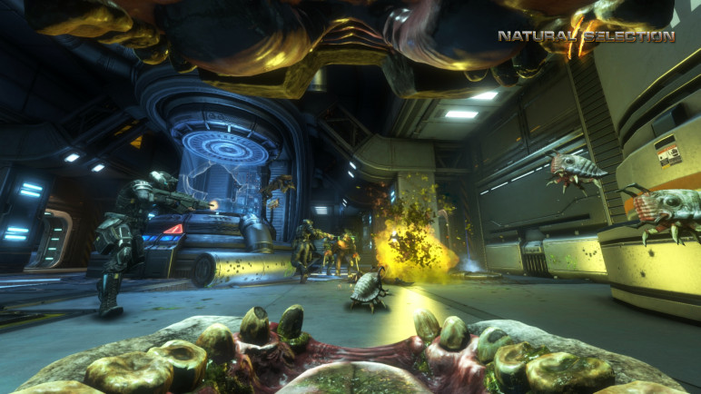 Buying Natural Selection 2 – image 8