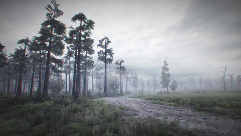 Buy a 35mm account for PS4 – image 2