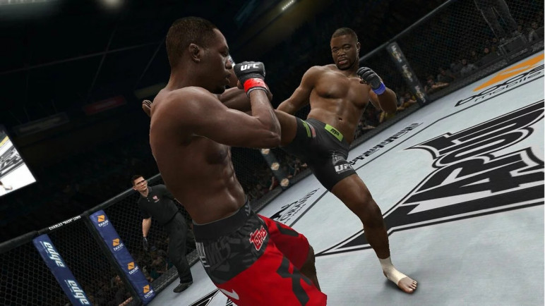 Review of UFC Undisputed 3 – image 2