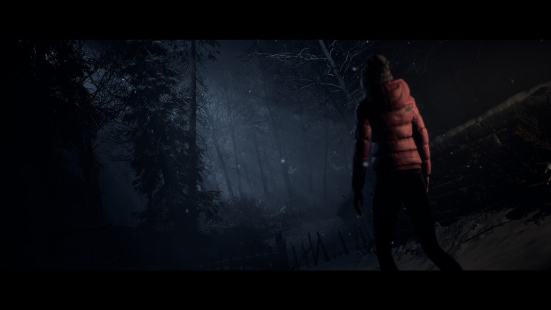 The Until Dawn Account – image 9