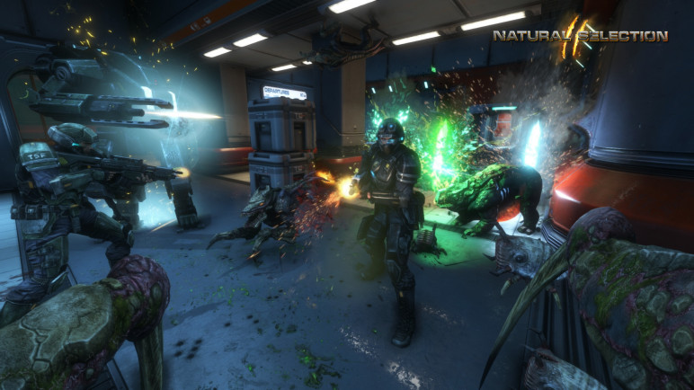 Buying Natural Selection 2 – image 4
