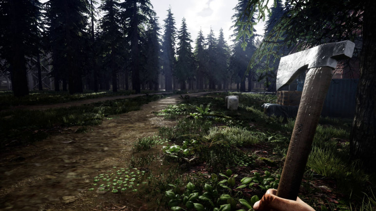 Buy an Offline Account for Mist Survival – image 5